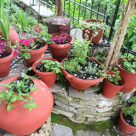 Holiday home Katoikia Me Ta Pitharia *